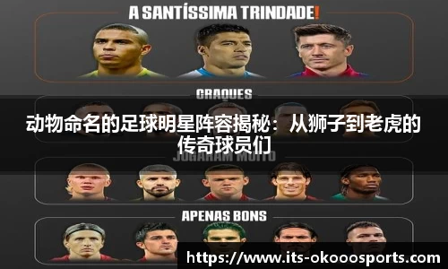 动物命名的足球明星阵容揭秘：从狮子到老虎的传奇球员们